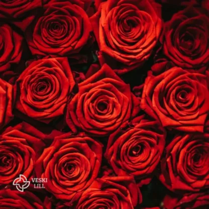 5 punast roosi