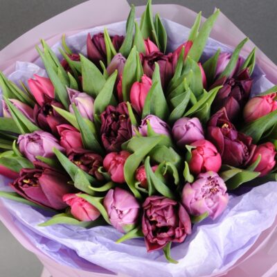 Pilkupüüdev tulbikimp